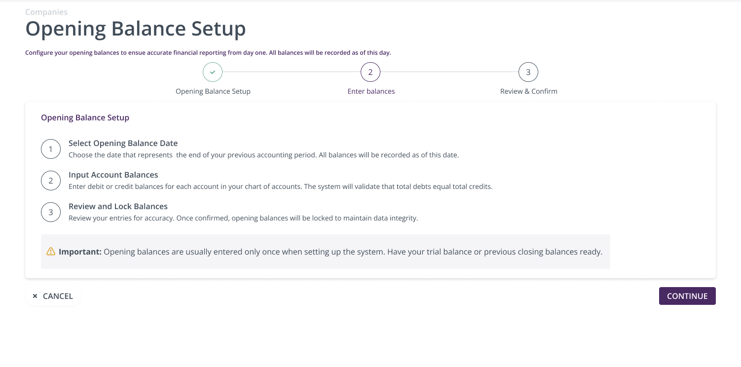 Opening Balance Setup